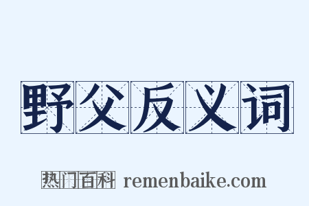 野父反义词是什么意思的图片